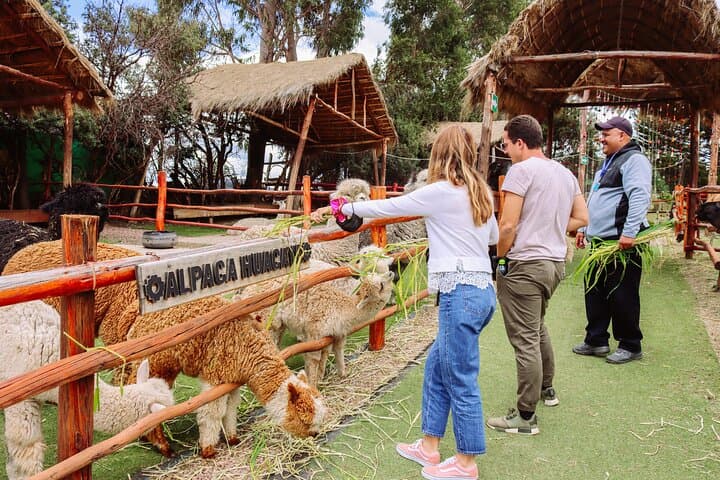 2-Day Sacred Valley & Machu Picchu Train Tour from Cusco | Vistadome Option photo 4