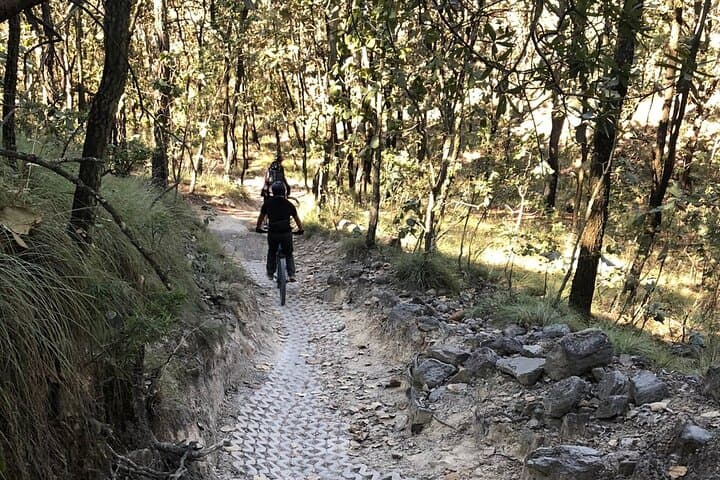 La Primavera Mountain Bike Half-Day: Flow Trails, Rock Gardens & Forest Views