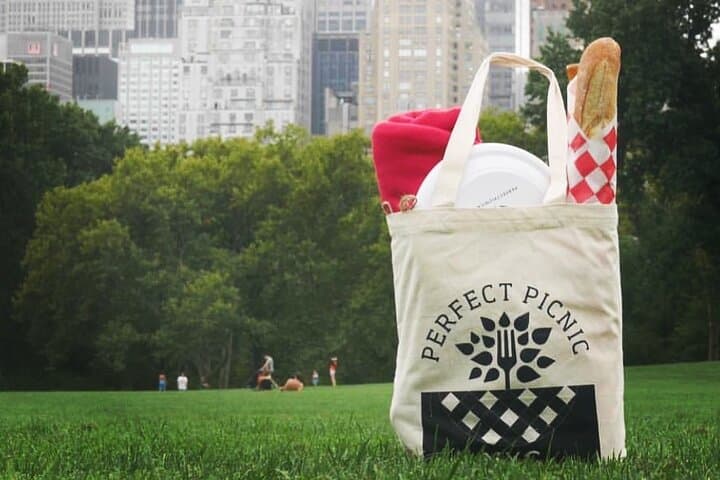 Central Park Family Picnic for 4 — Grab-and-Go Lunch near the American Museum of Natural History