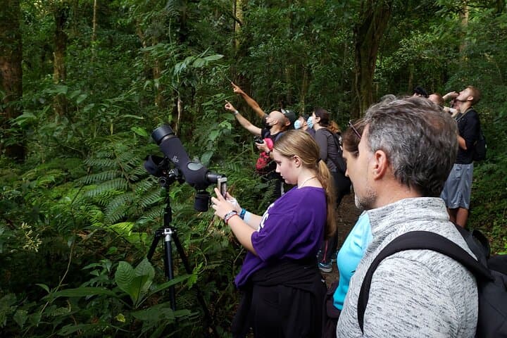 One Day in Monteverde: Cloud Forest Hike, Hanging Bridges & Night Walk