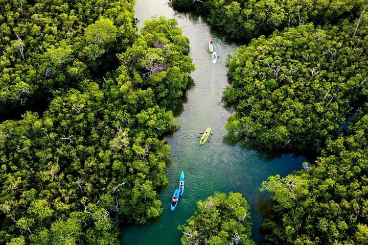Kayak Nichupte Lagoon Cancun: Sunrise & Sunset Guided Tour photo 5