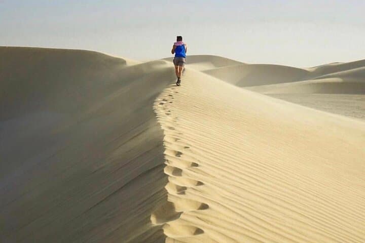 Half-Day Desert Safari & Inland Sea from Doha — Dune Bashing, Sandboarding & Camel Ride photo 4