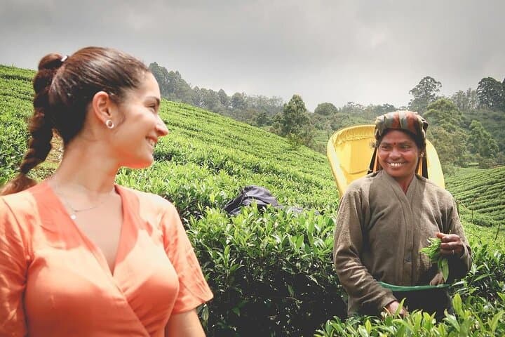 Tea Fields & Factory Tour in Hatton: From Pluck to Pot in Ceylon's Highlands photo 2