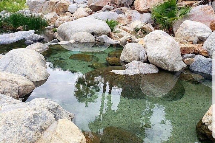 Sierra de la Laguna Natural Hot Springs: Day Trip from Los Cabos photo 5