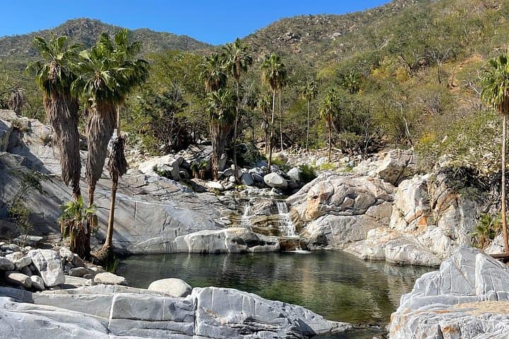 Sierra de la Laguna Natural Hot Springs: Day Trip from Los Cabos photo 3