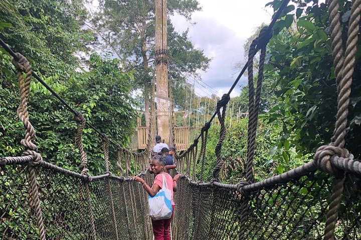 Kakum Canopy and Cape Coast Castles: Private Ghana History & Rainforest Day Tour photo 4