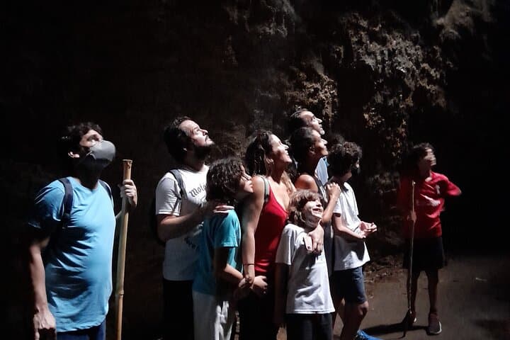 Tijuca National Park Trails: Waterfalls, Ruins & Urban Rainforest Hike photo 3