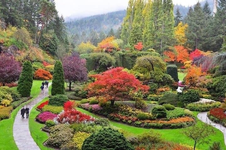 2-Day Vancouver Island Explorer: Victoria, Butchart Gardens, Comox & Nanaimo