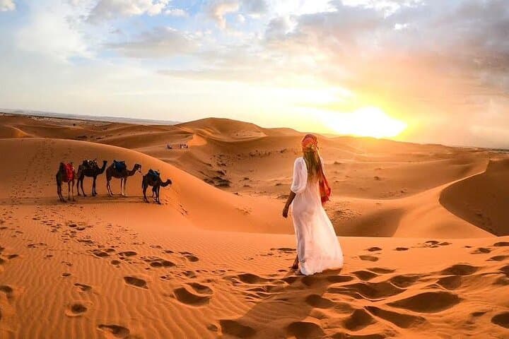 Morning Dubai Desert Safari: Camel Trekking, Quad Biking & BBQ Experience
