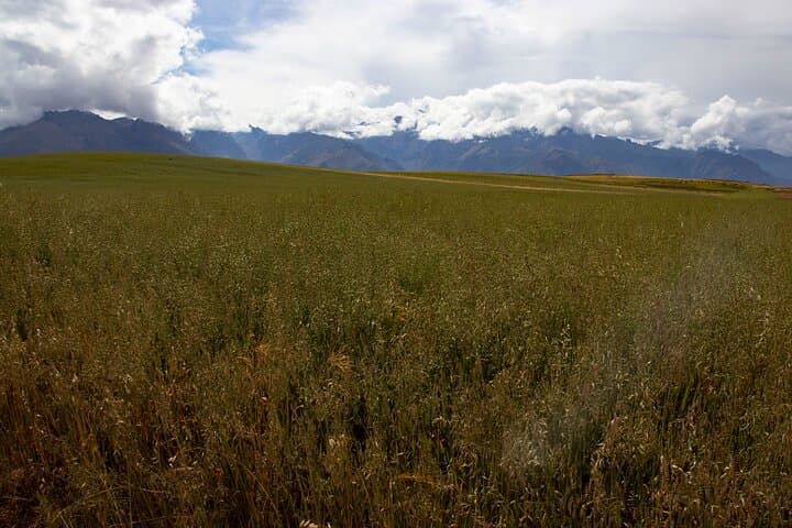 Sacred Valley Mountain Biking: Full-Day Ride from Cusco to Ollantaytambo photo 4