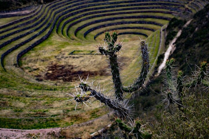 Half-Day Mountain Biking at Maras & Moray — Sacred Valley Adventure photo 5