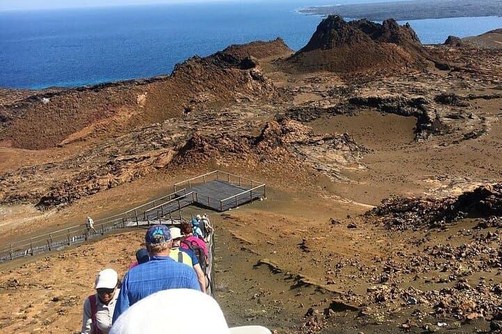 Full-Day Bartolomé Island & Sullivan Bay — Galápagos Day Cruise, Hike & Snorkel photo 5