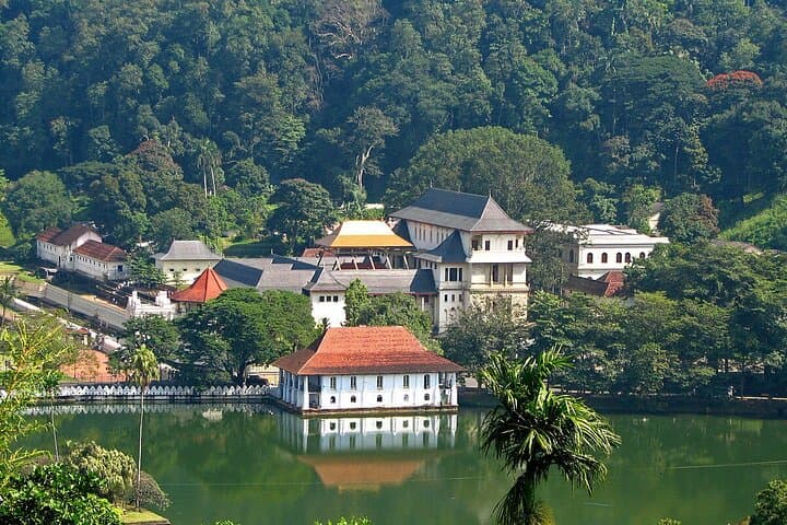 8-Day Private Sri Lanka Round Tour — Beaches, Hill Country, Safari & Cultural Triangle photo 5