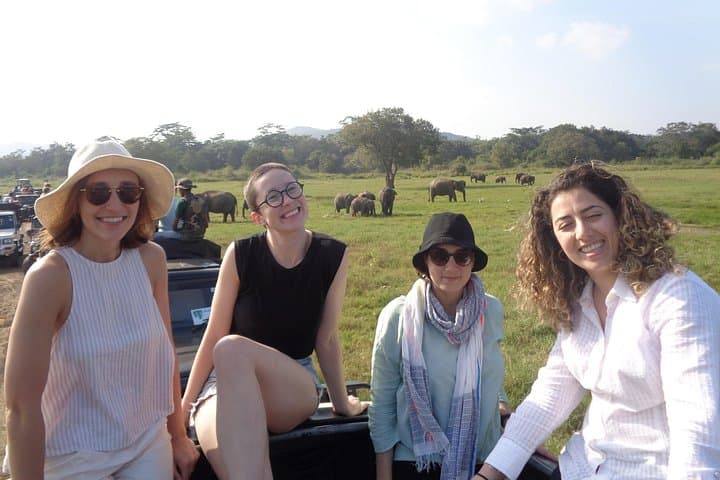 Chasing Giants: Minneriya National Park Private Jeep Safari from Habarana photo 2