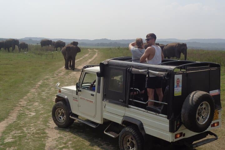 Kaudulla National Park Private Safari from Sigiriya — See the Elephant Gathering by Jeep photo 1