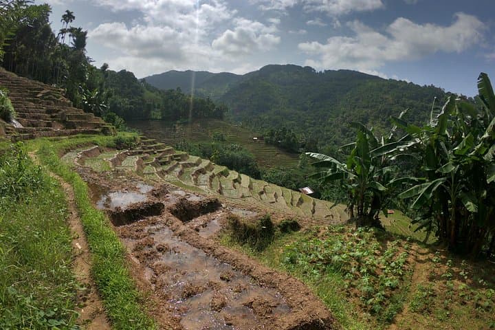 Hike the Knuckles: Day Tour from Kandy to Villages, Tea, Falls & Lake photo 4