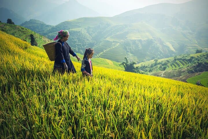 North Bali 3-Day Cultural & Nature Tour — Lovina, Ubud, Bedugul photo 4