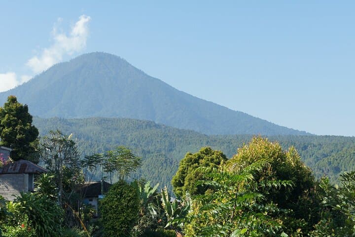 North Bali 3-Day Cultural & Nature Tour — Lovina, Ubud, Bedugul photo 6