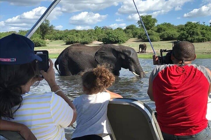 Chobe River Safari: 3-Hour Boat Cruise from Kasane photo 3