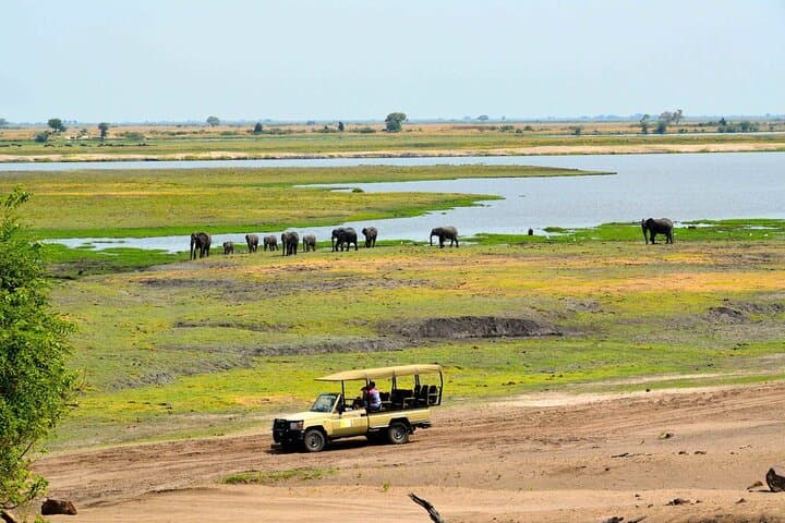 Chobe Day Trip From Livingstone — Game Drive and Chobe River Cruise photo 3