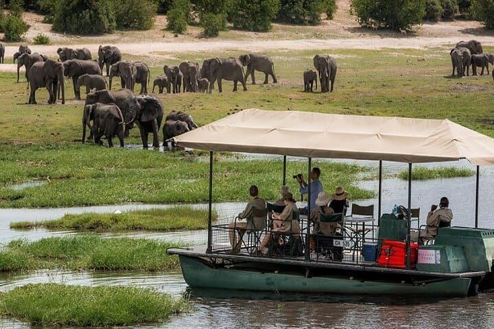 Chobe River Safari: 3-Hour Boat Cruise from Kasane photo 6