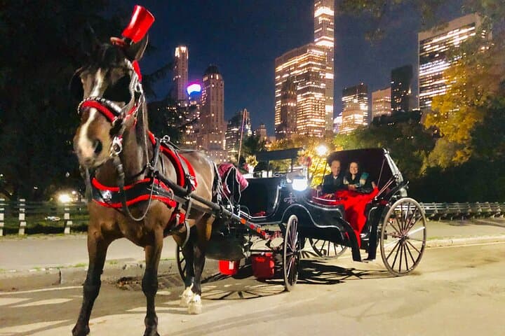 Central Park Moonlight Horse & Carriage Tour with Photo Stops photo 6