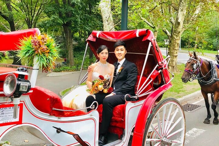 VIP Central Park Champagne Carriage Ride — 50-Min Romantic Tour with Photos photo 4