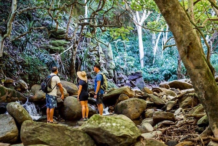 Explore West Maui’s Wild Trails: Private Guided Adventure Tour photo 3