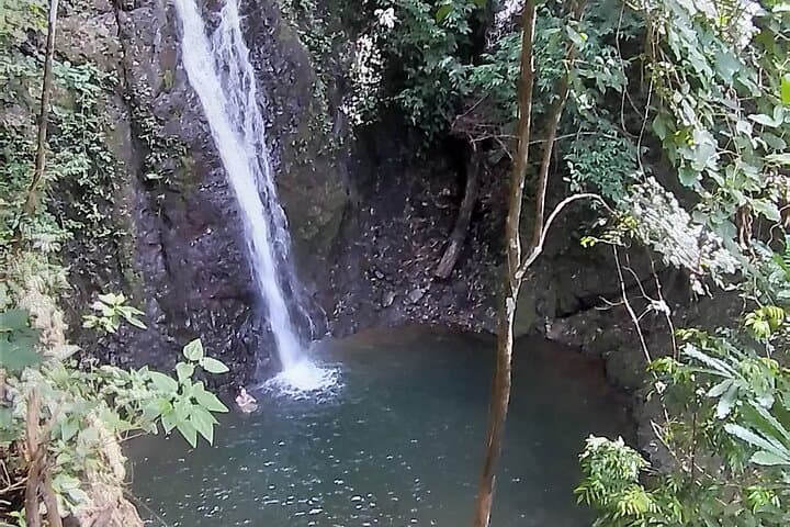 Jaco 10-Waterfall Hike at Finca los Solís — Rainforest Pools & Costa Rican Lunch photo 5
