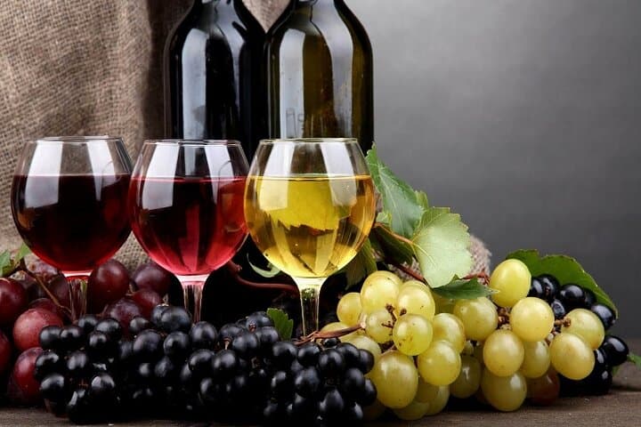 Private Bekaa Valley Wine Tasting Tour: Kefraya, Chateau St. Thomas & Ksara photo 3