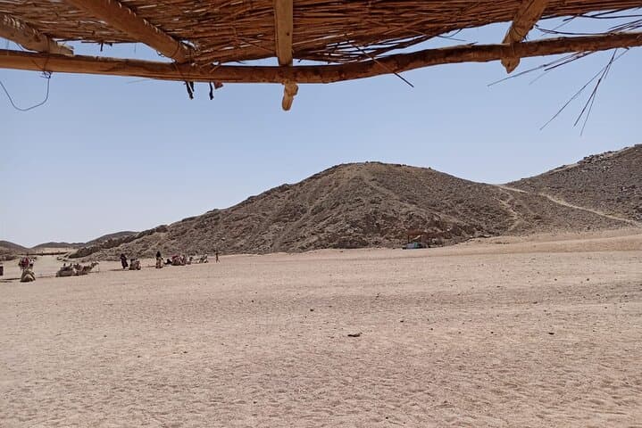 Hurghada Full-Day Desert Safari: ATV, Camel Ride & Bedouin Dinner photo 2