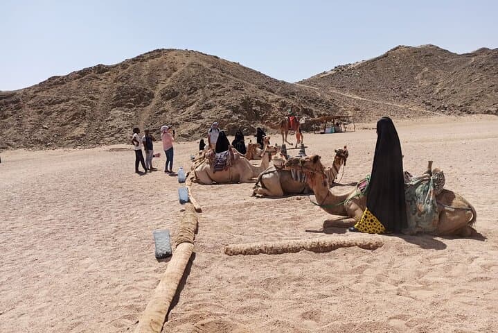 Hurghada Full-Day Desert Safari: ATV, Camel Ride & Bedouin Dinner photo 3