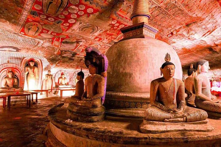 Colombo to Sigiriya, Dambulla & Safari — Private Day Trip from Colombo photo 5