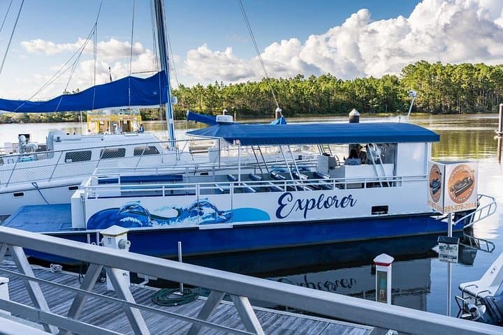 Orange Beach Dolphin and Nature Eco Tour — 2-Hour Pontoon Wildlife Cruise photo 2