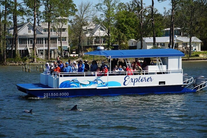 Orange Beach Dolphin and Nature Eco Tour — 2-Hour Pontoon Wildlife Cruise photo 1