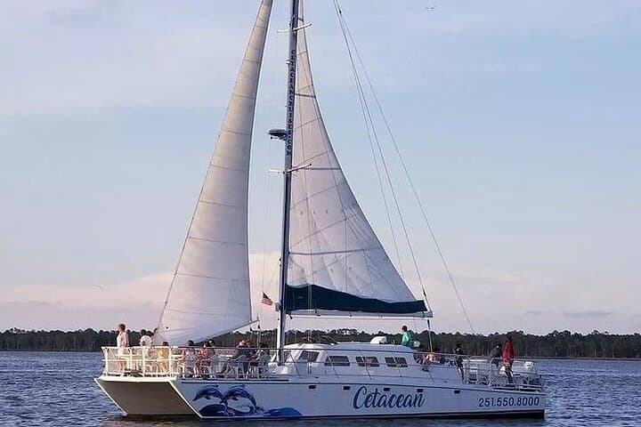 Orange Beach Dolphin Sailing Cruise on a 52-Foot Catamaran photo 5