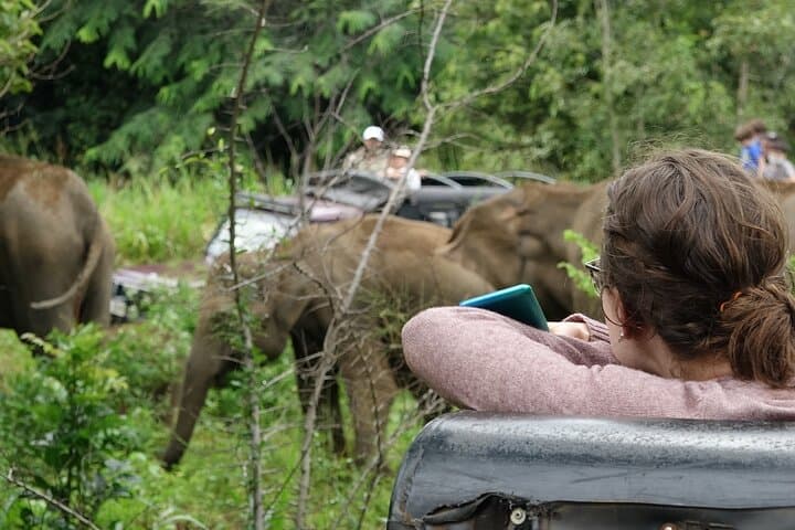 Half-Day Safari: Yala, Bundala & Udawalawe Guided Drive photo 4