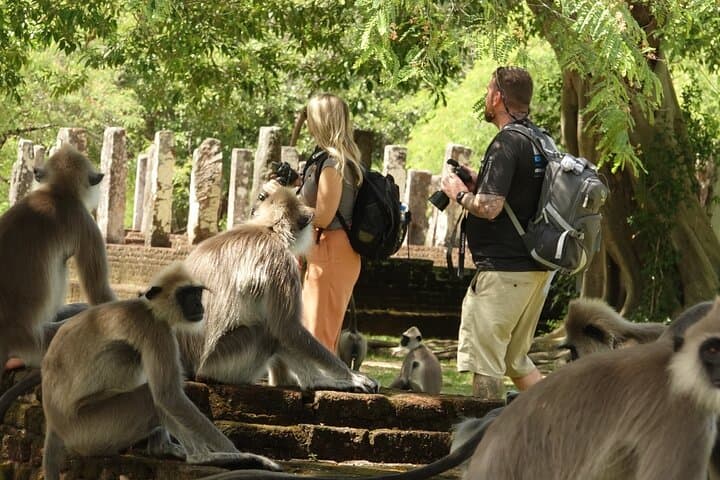 Half-Day Safari: Yala, Bundala & Udawalawe Guided Drive photo 5