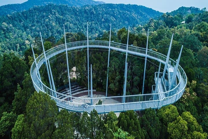 The Habitat Penang Hill: Rainforest Walks & Curtis Crest Canopy Views photo 2
