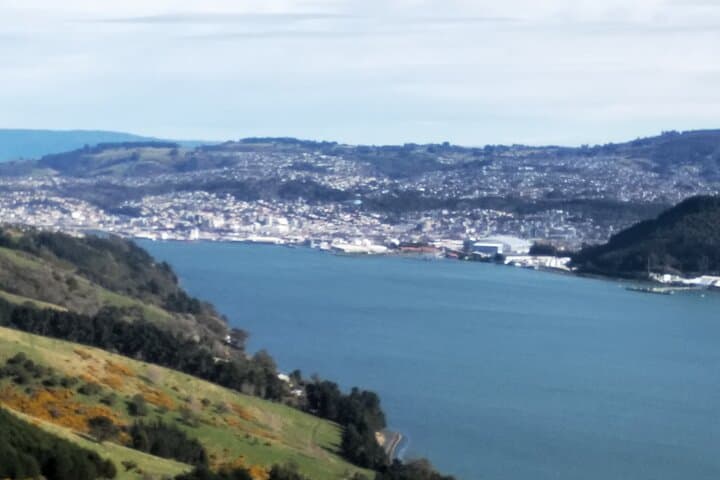 Dunedin City & Otago Peninsula Wildlife Day Tour — Larnach Castle, Sandfly Bay & Allans Beach photo 4