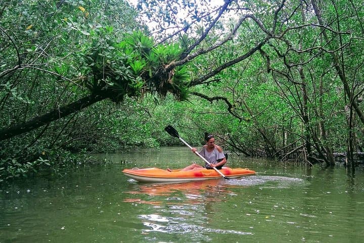 Paraty Mangroves Kayak Tour — Paddle Paradise Beach & Time-Tunnel Channels photo 4
