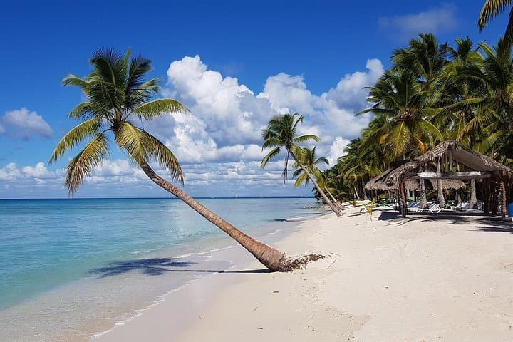 Saona Island Day Trip from Punta Cana — Speedboat to Natural Pool, Beach Lunch & Open Bar photo 2