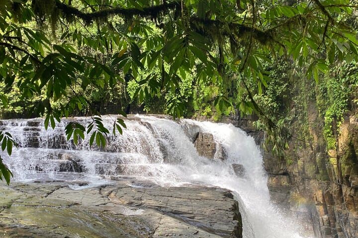 Online Costa Rica Travel Advice with Local Guide — Info Tour Center