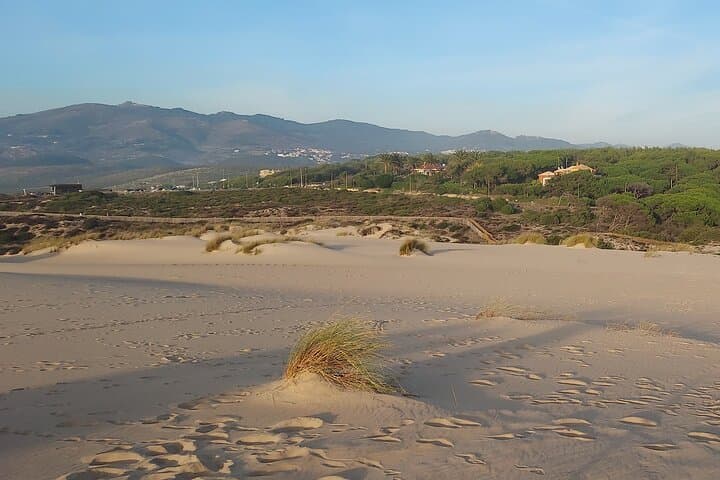 Open-Top Sunset Drive from Lisbon to Cabo da Roca with Strawberries & Pink Bubbly photo 4