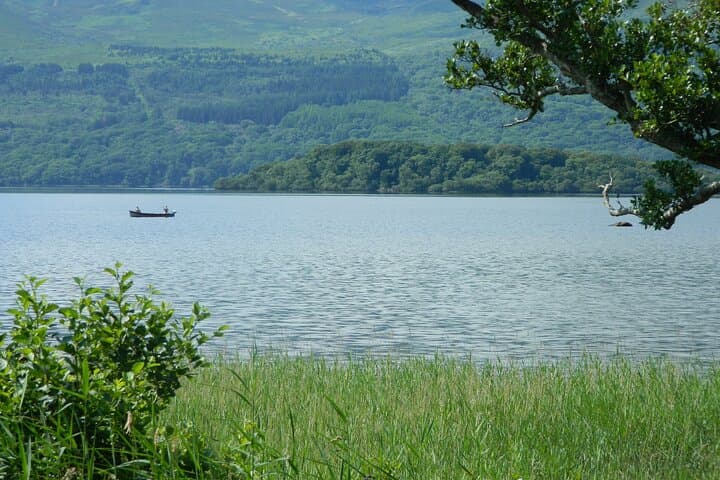 Ring of Kerry & Skellig Ring Private Tour — Killarney Scenic Drive, Cliffs & Island Views photo 5