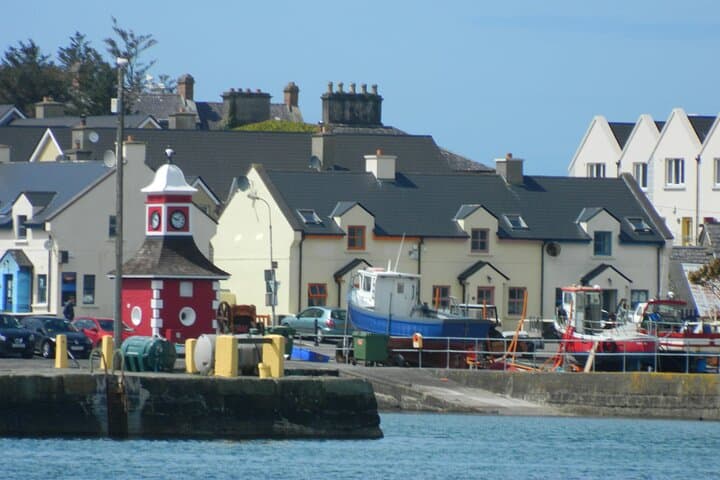 Ring of Kerry & Skellig Ring Private Tour — Killarney Scenic Drive, Cliffs & Island Views photo 6