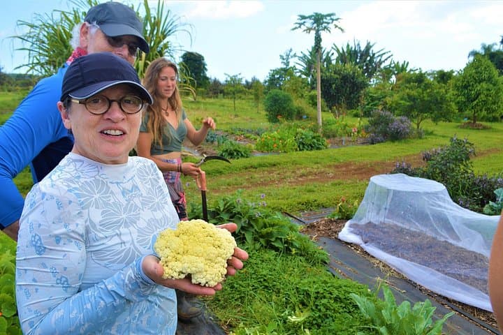Farm-to-Table Cooking Class at Kulaniapia Falls — Hands-On Tropical Harvest Near Hilo photo 2