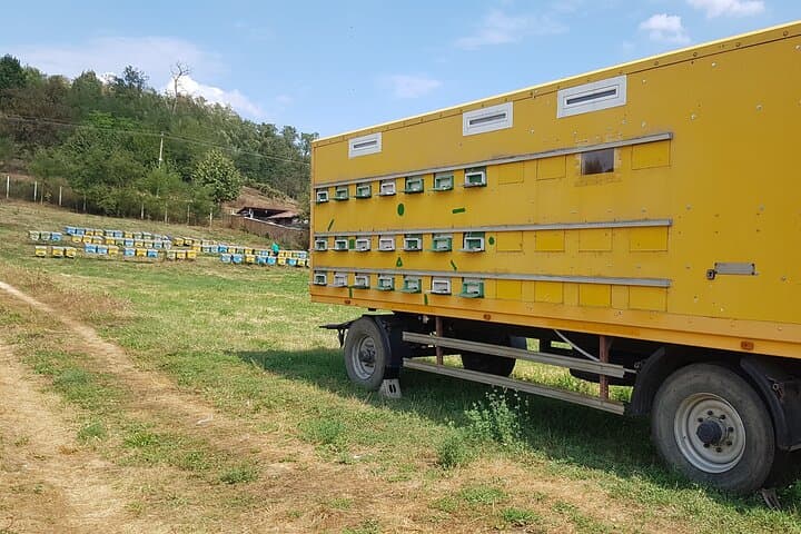 Private Apiary Tour from Bucharest: Bees Adventure in Romania photo 6