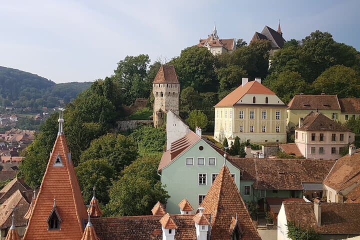 10-Day Private Romania Tour from Bucharest: Transylvania Castles, Carpathian Highways & Painted Monasteries photo 3