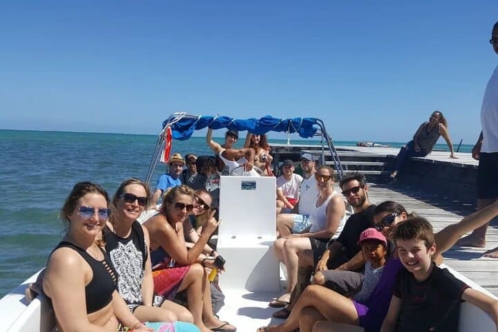 Caye Caulker Barrier Reef Snorkel: 3-Hour Shark Ray Alley, Tarpon Town & Seahorse City Tour photo 3